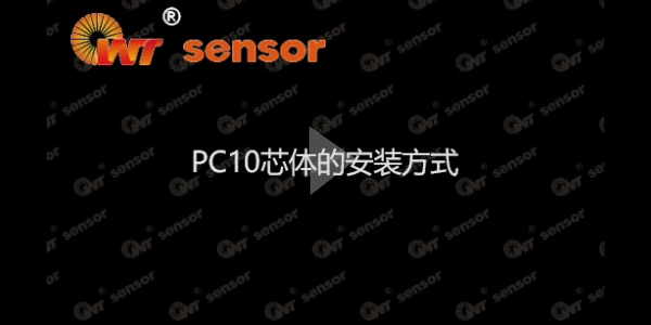 初檢完之后，你知道PC10芯體怎么安裝嗎？