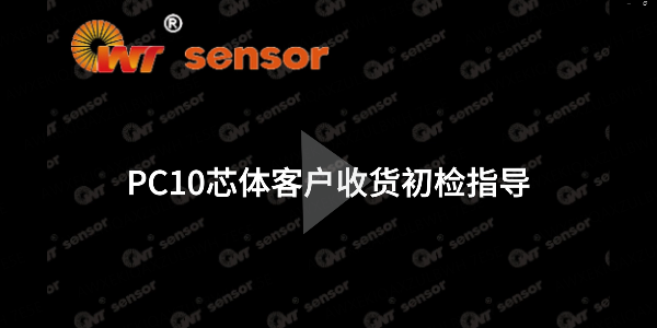 你知道如何進(jìn)行PC10芯體的初檢嗎？